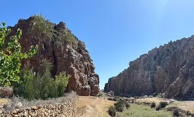 trees and nature towards the Gagou mountains site